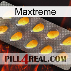 Maxtreme cialis1